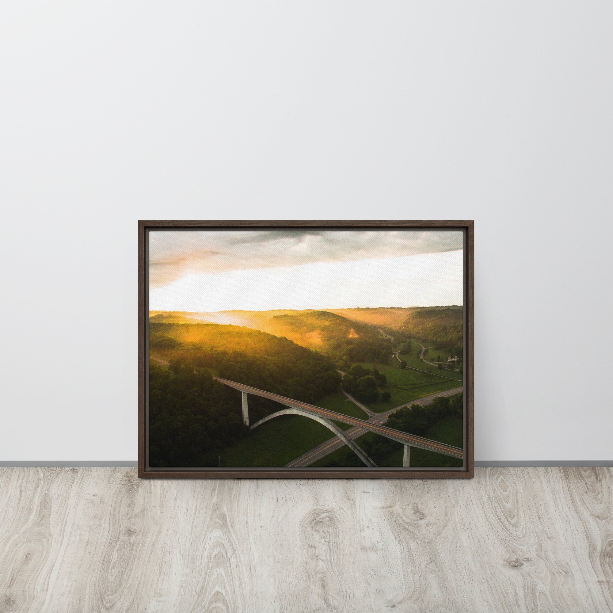 framed-canvas-(in)-brown-18x24-front-639f8bdd2e0ac.jpg