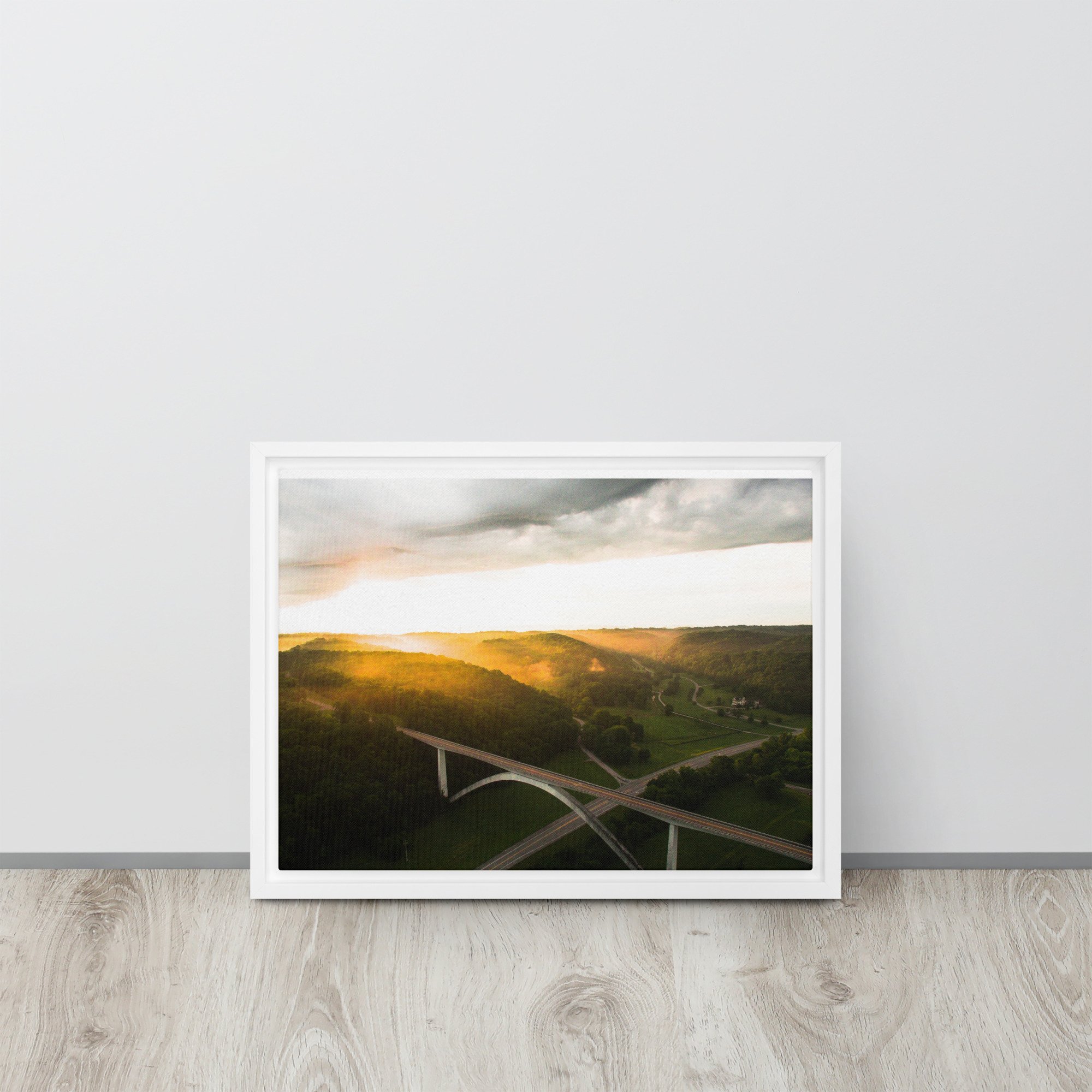 framed-canvas-(in)-white-12x16-front-639f8bdd2e1a4.jpg