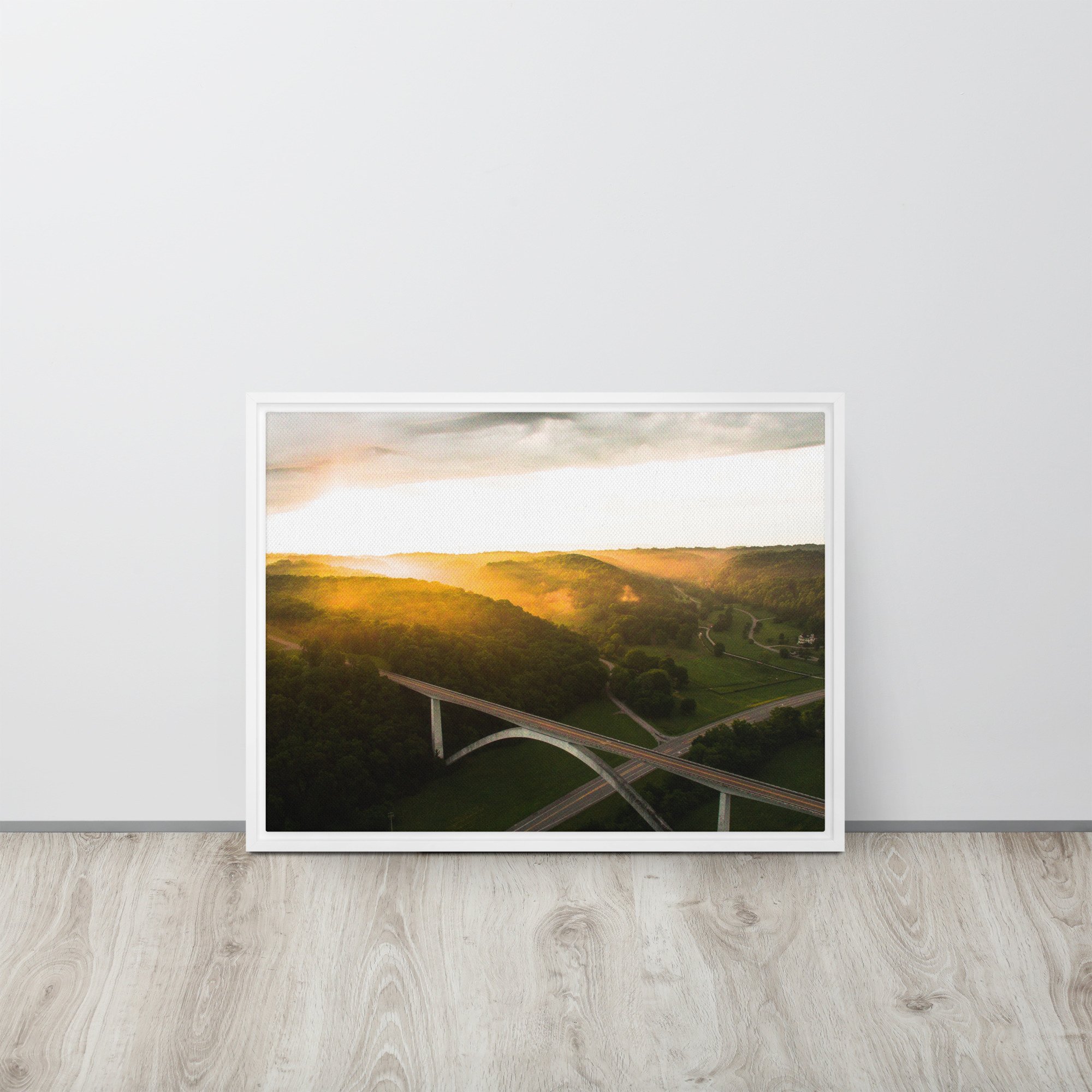 framed-canvas-(in)-white-18x24-front-639f8bdd2e28b.jpg