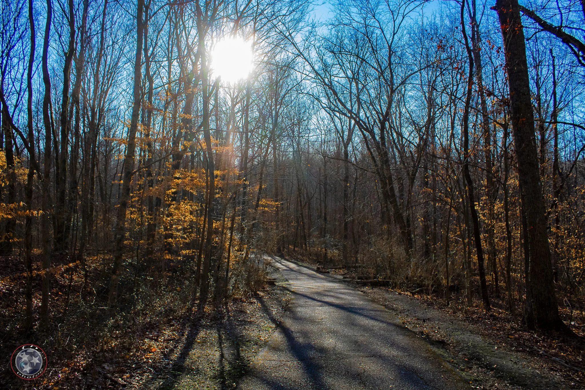 Trail 021824 1-sm.jpg