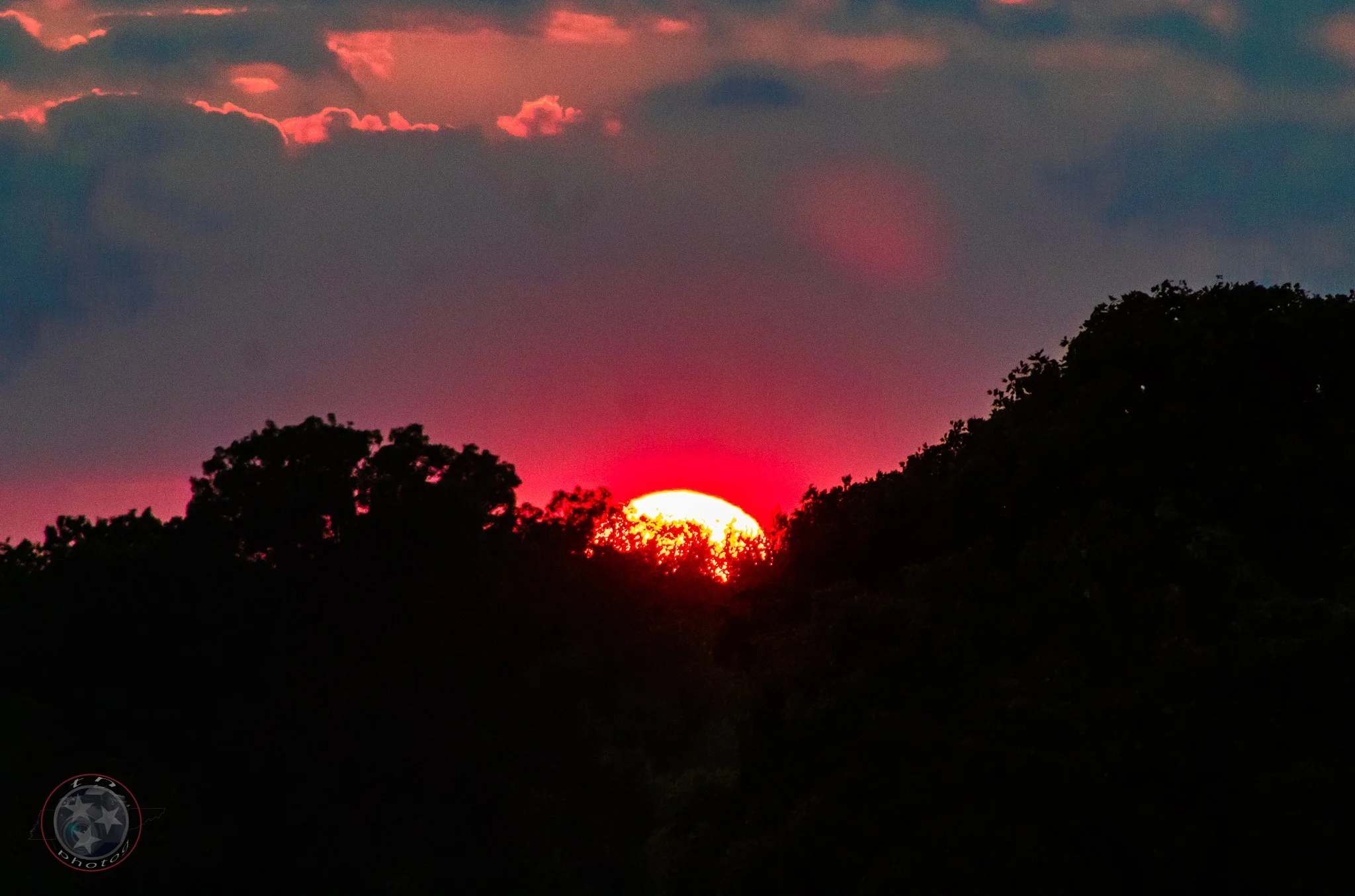 Sunset Behind Trees .jpg