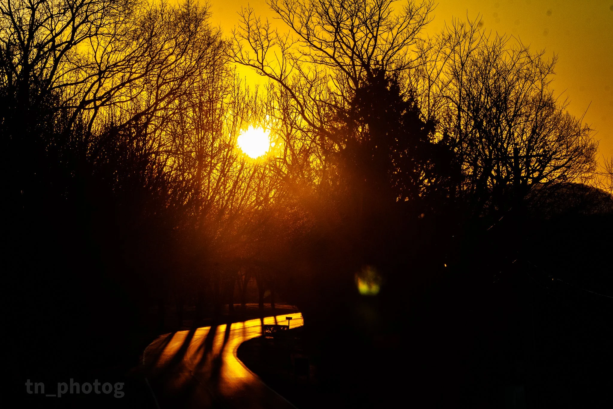 Sunrise - sm-2.jpg