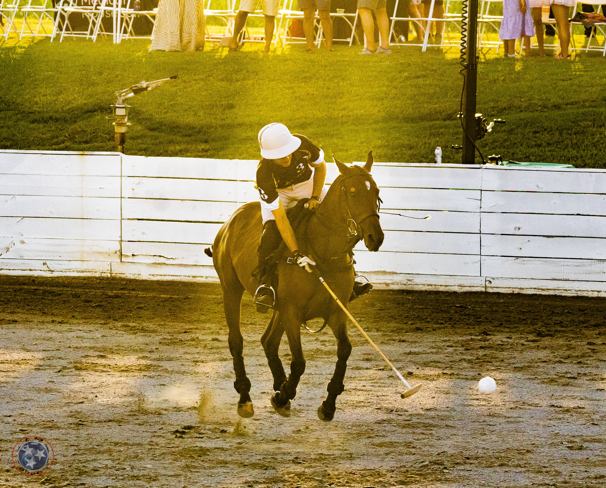 Polo Match