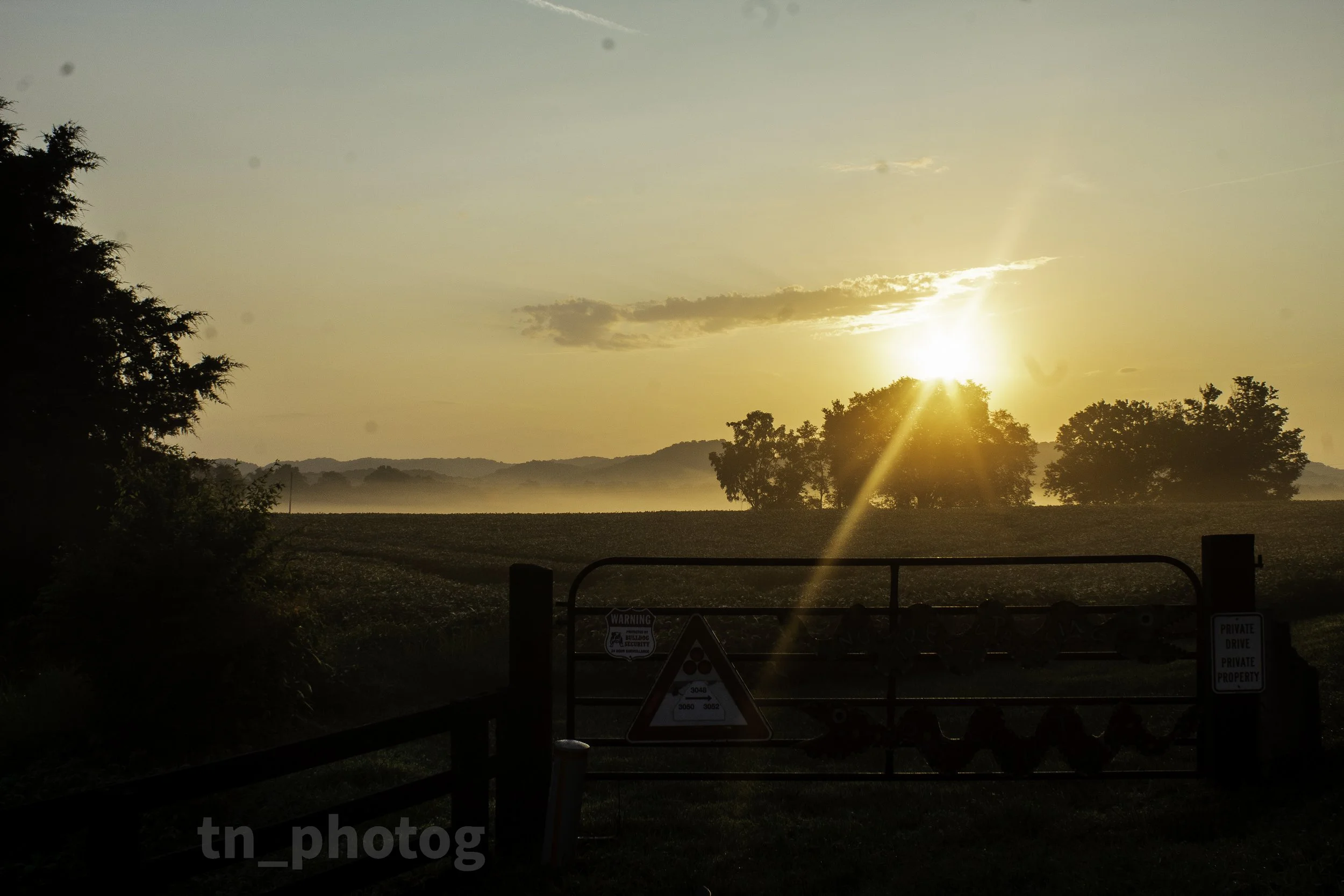 Field Sunrise 2.jpg