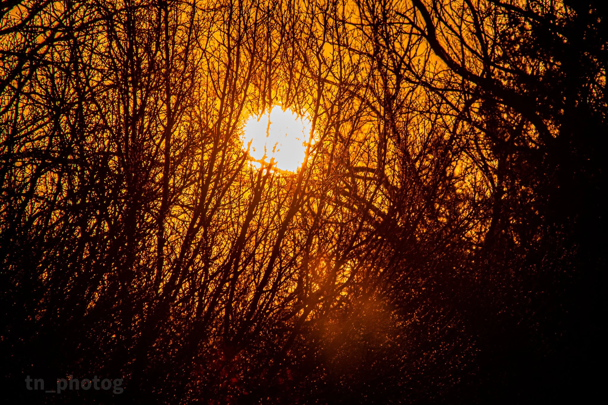Sunrise - sm-3.jpg
