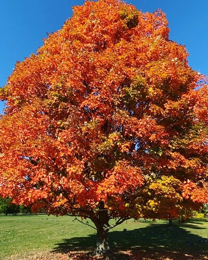 &ldquo;A truly stable system expects the unexpected, is prepared to be disrupted, waits to be transformed.&rdquo; -Tom Robbins ☀️ 🌱