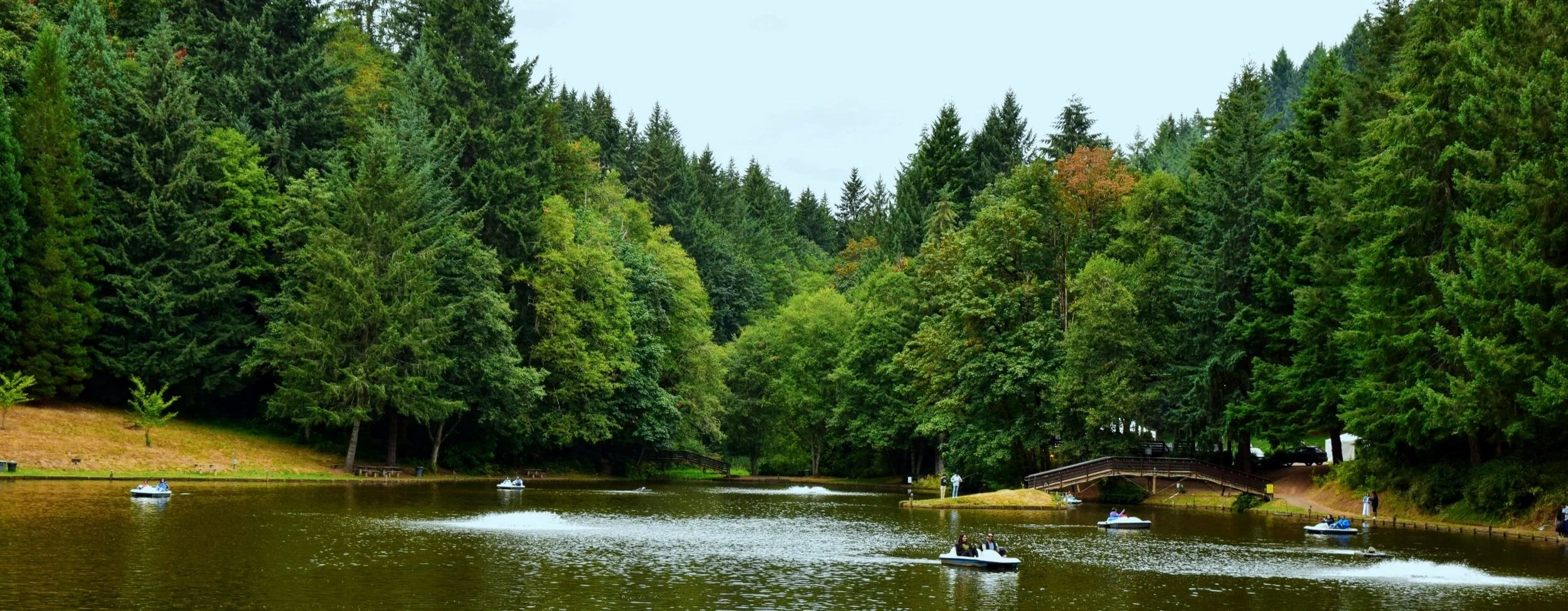 Horning's Hideout, a forest wedding venue in North Plains, OR