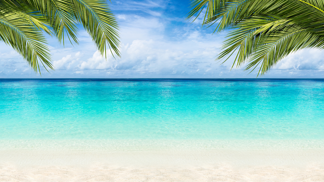 Summer Vacation Loan Promo