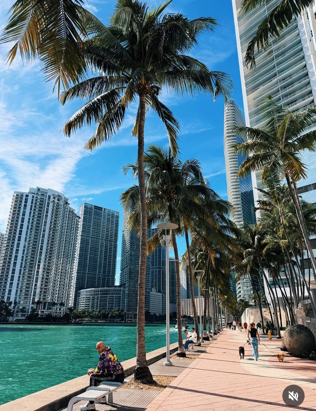 Condo Sunny Isles à Miami Floride