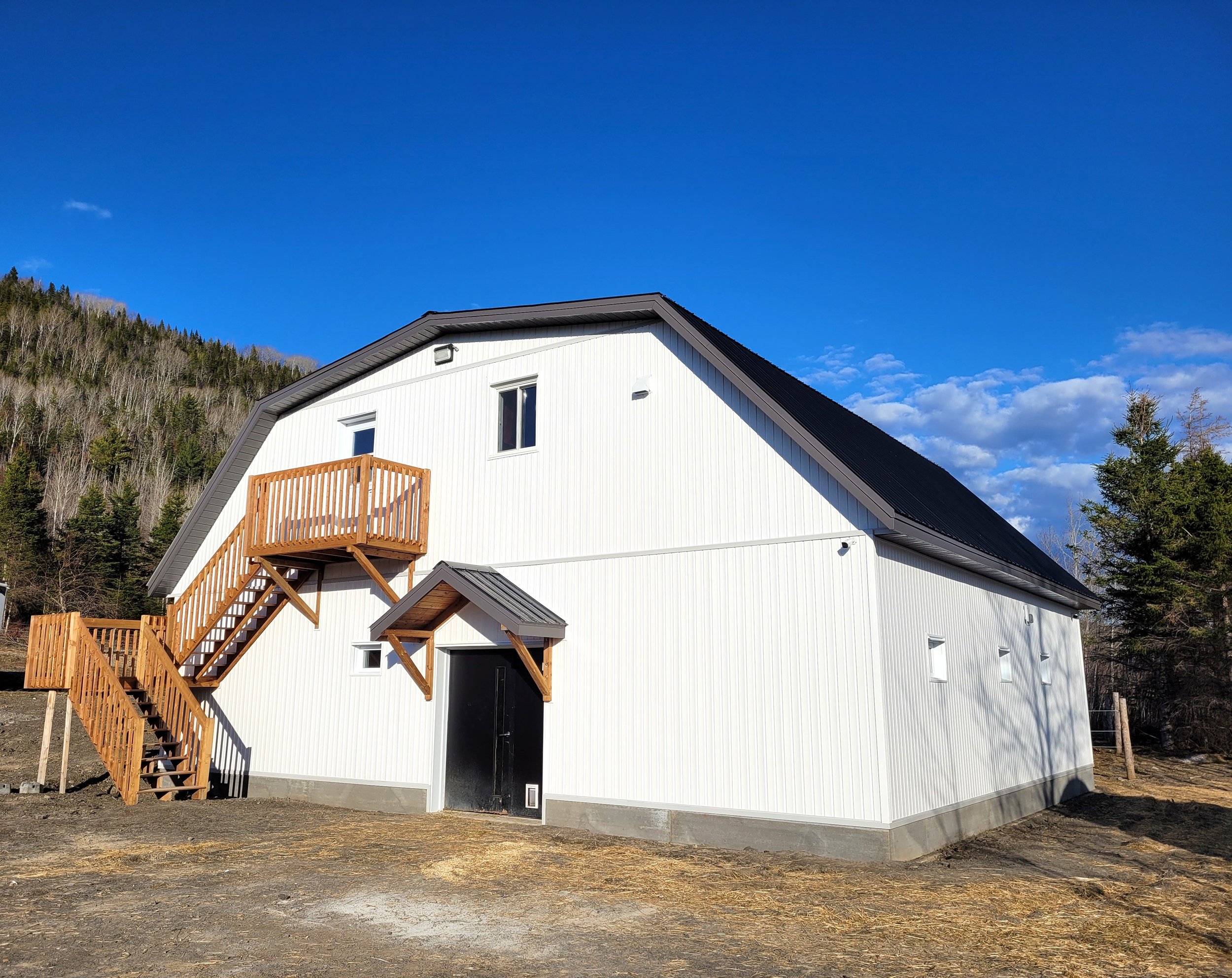 Admirez l'aspect extérieur de cette écurie commerciale, intégrée harmonieusement à son environnement naturel. Avec son architecture fonctionnelle et son design soigné, cette écurie offre un cadre idéal pour les amateurs de chevaux et les professionne