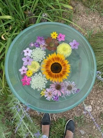 Flower Essences: An Interactive Kids' Workshop