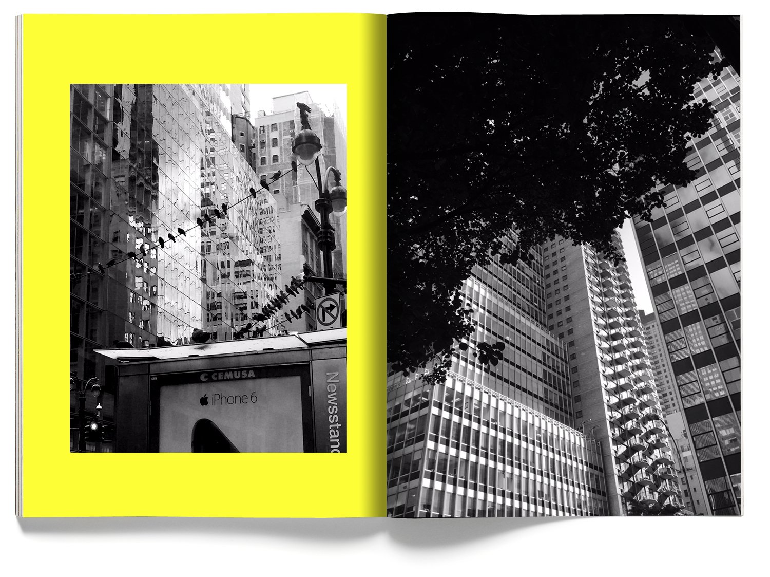 midtown-towers-spread-9.jpg