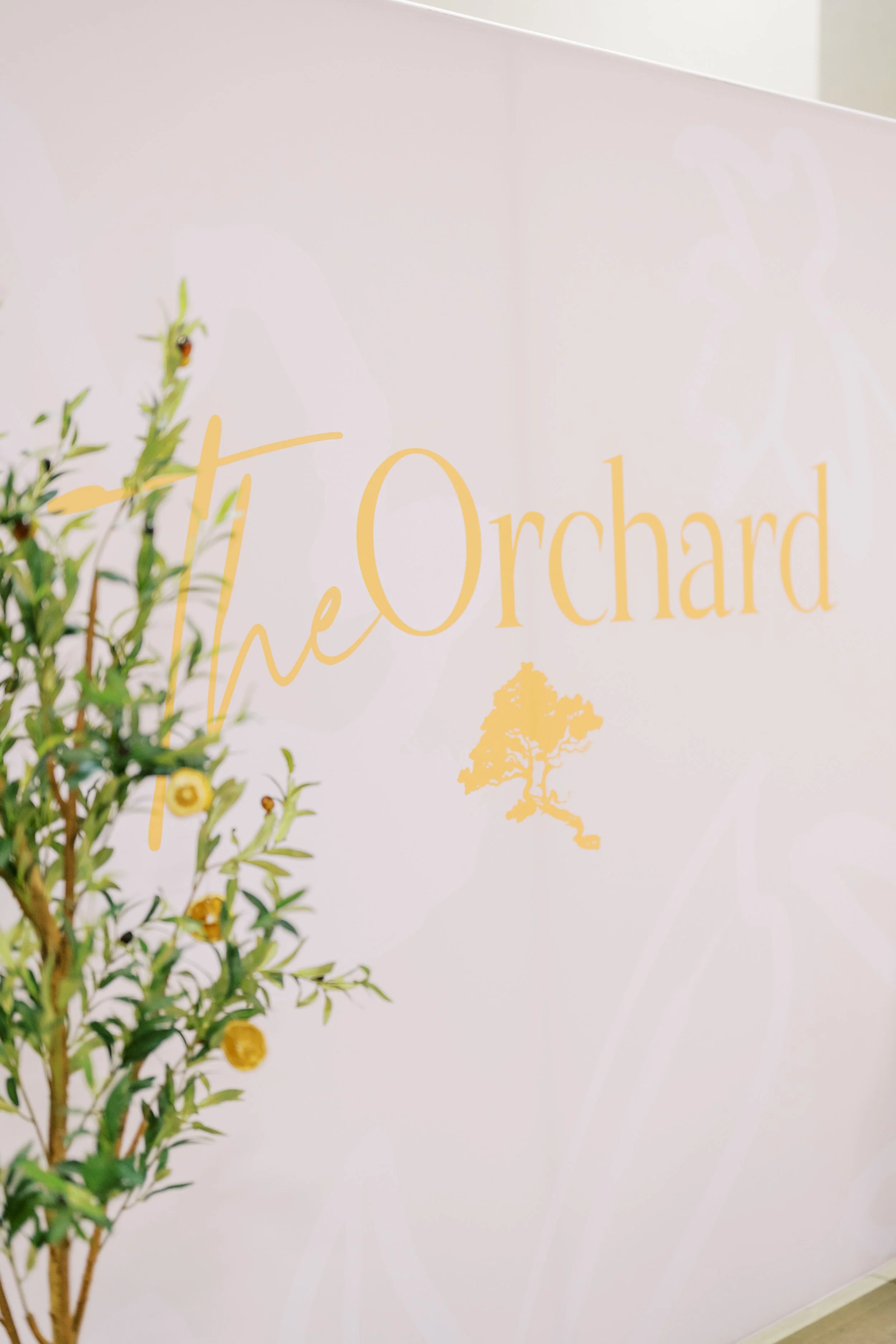 orchard-103.jpg