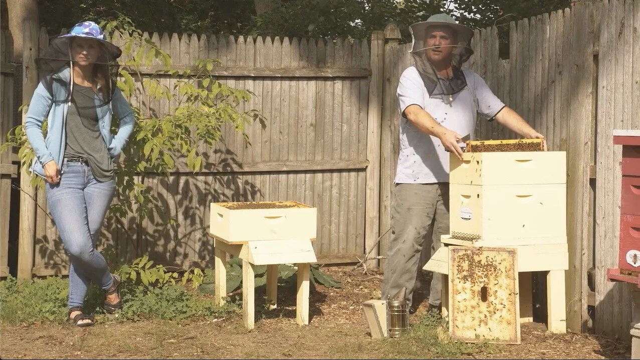 Episode 103: Beekeeping & Honey