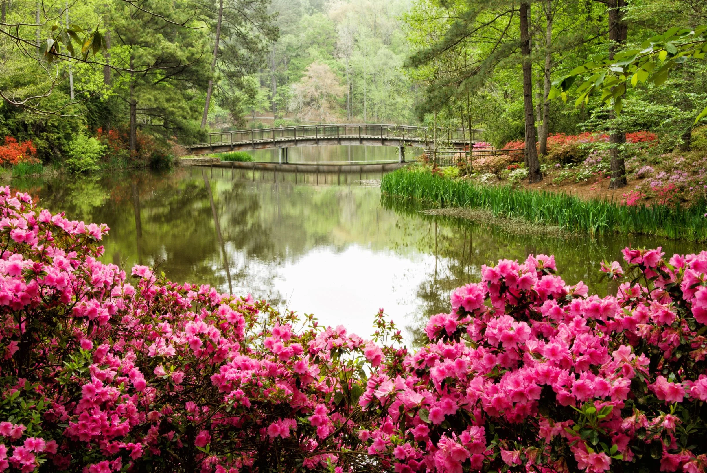 Azalea and Wood Bridge Square.jpeg
