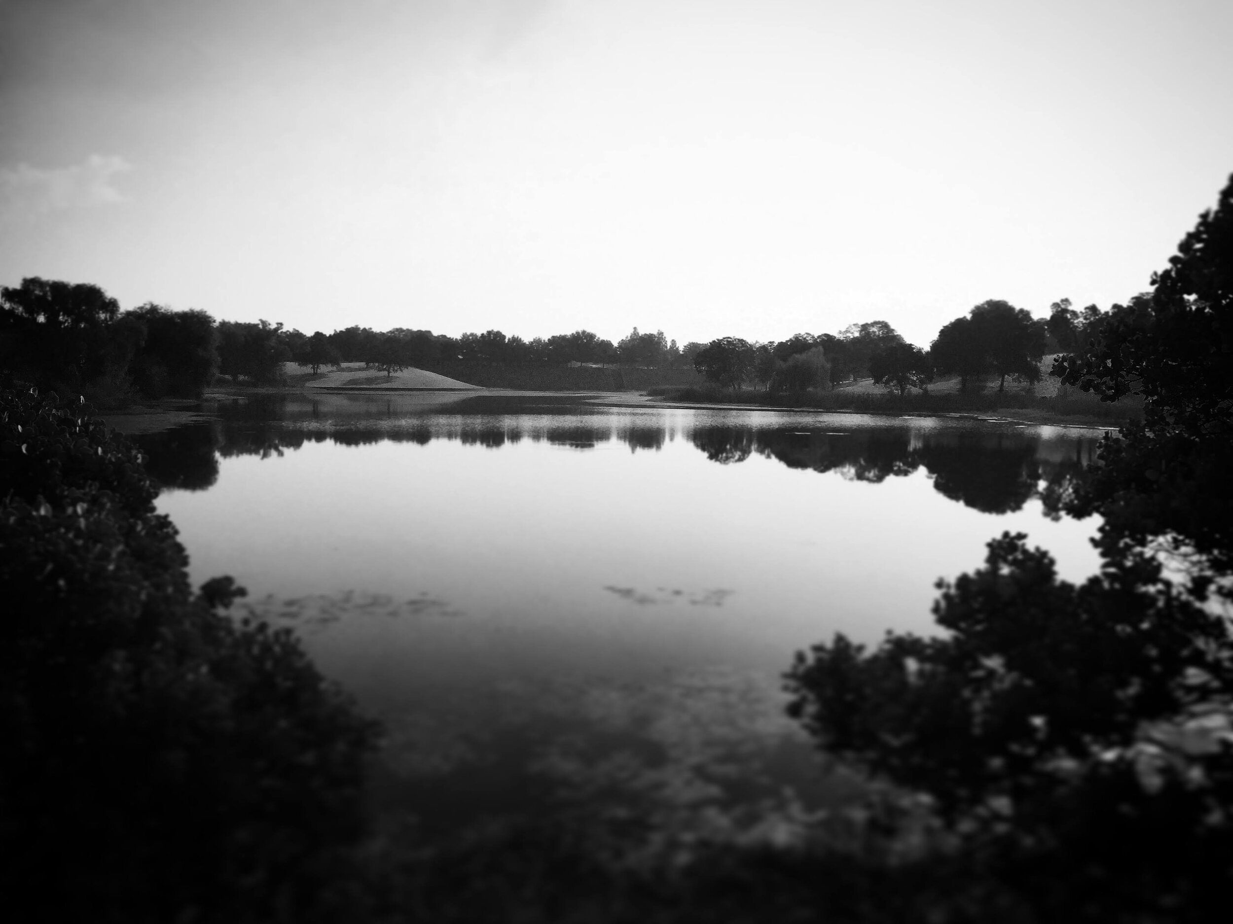 C2644C9D-69D0-493F-B696-232EFA5F2D1C.jpeg