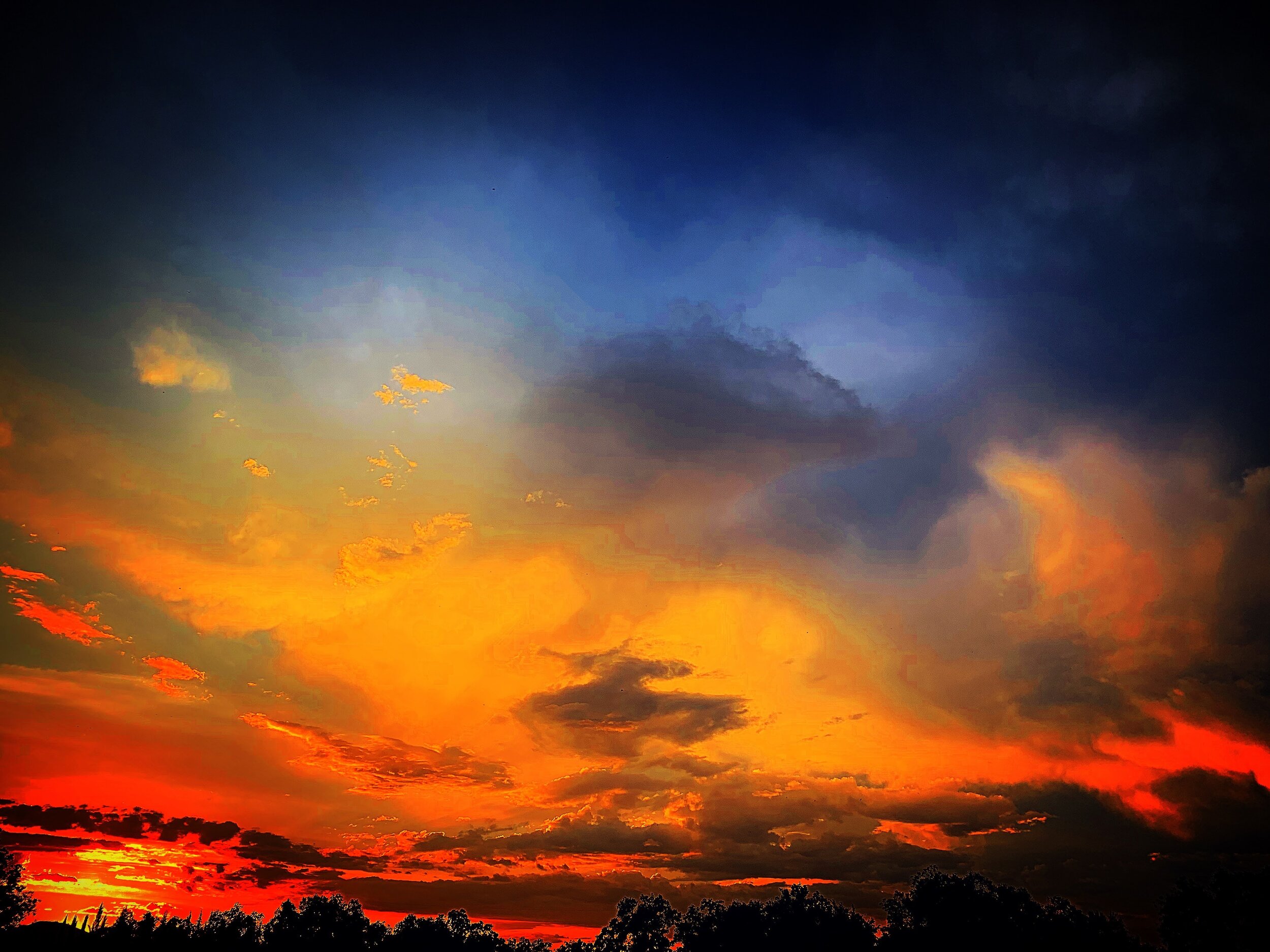 228B08E0-1B58-4168-A956-4206316CC291.jpeg