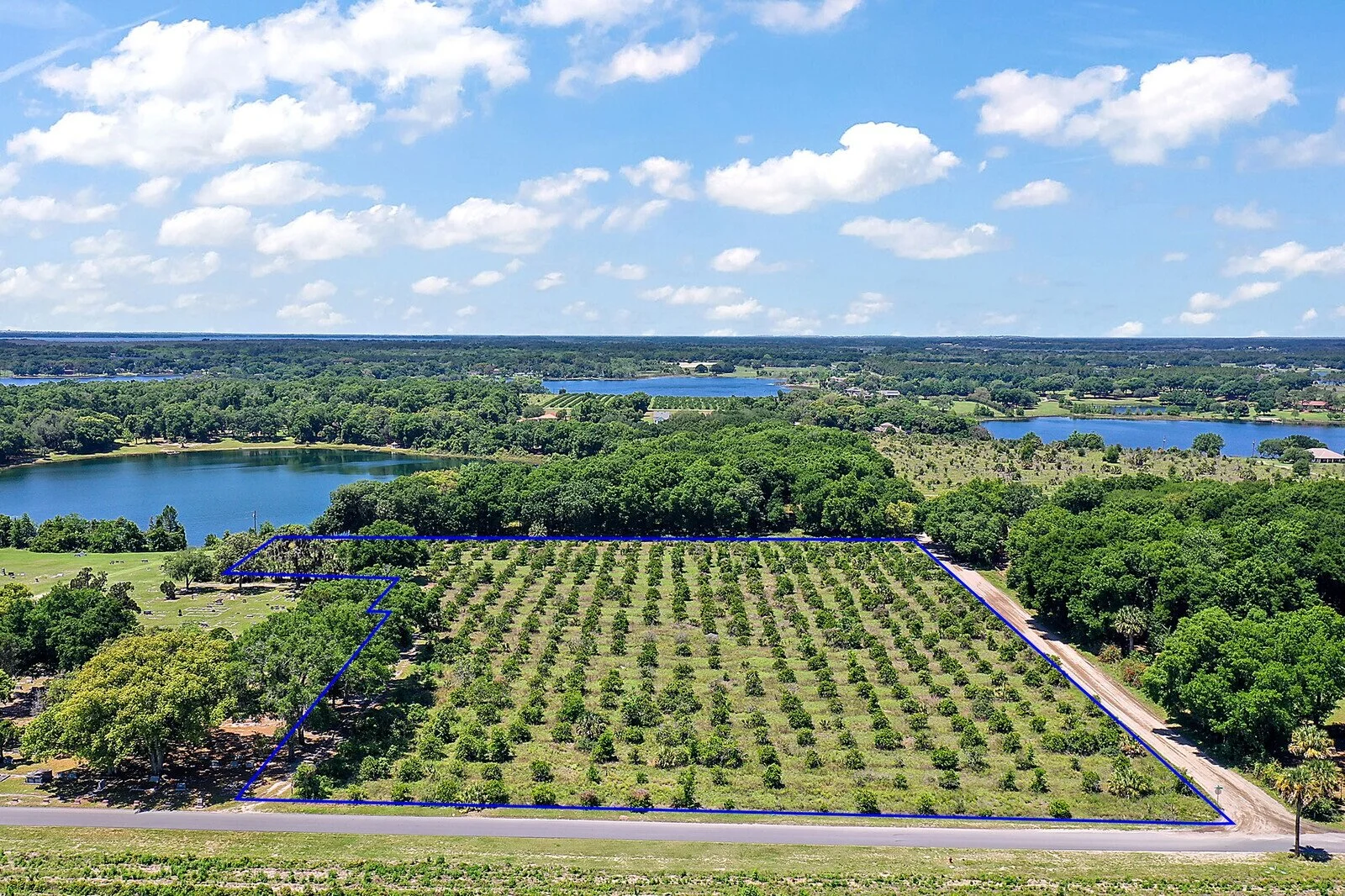 02_Maxwell_Road2_mls (2).jpg