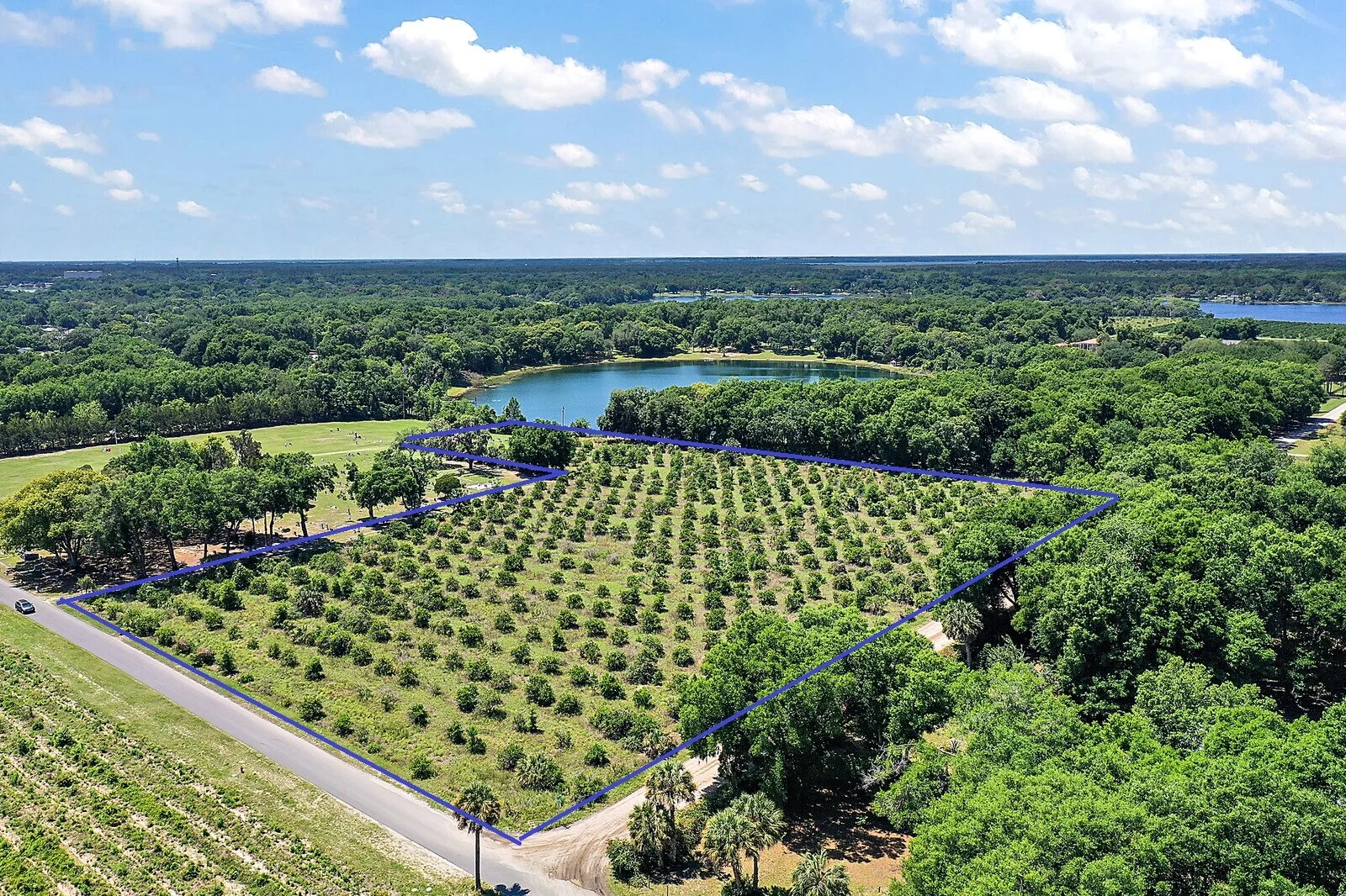 01_Maxwell_Road1_mls (2).jpg