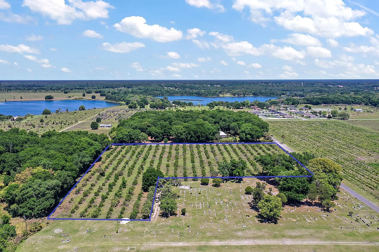 05_Maxwell_Road5_mls (2).jpg