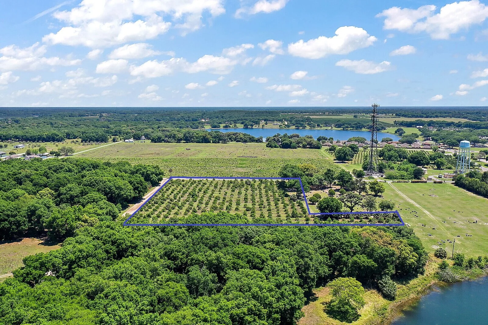 07_Maxwell_Road7_mls (2).jpg