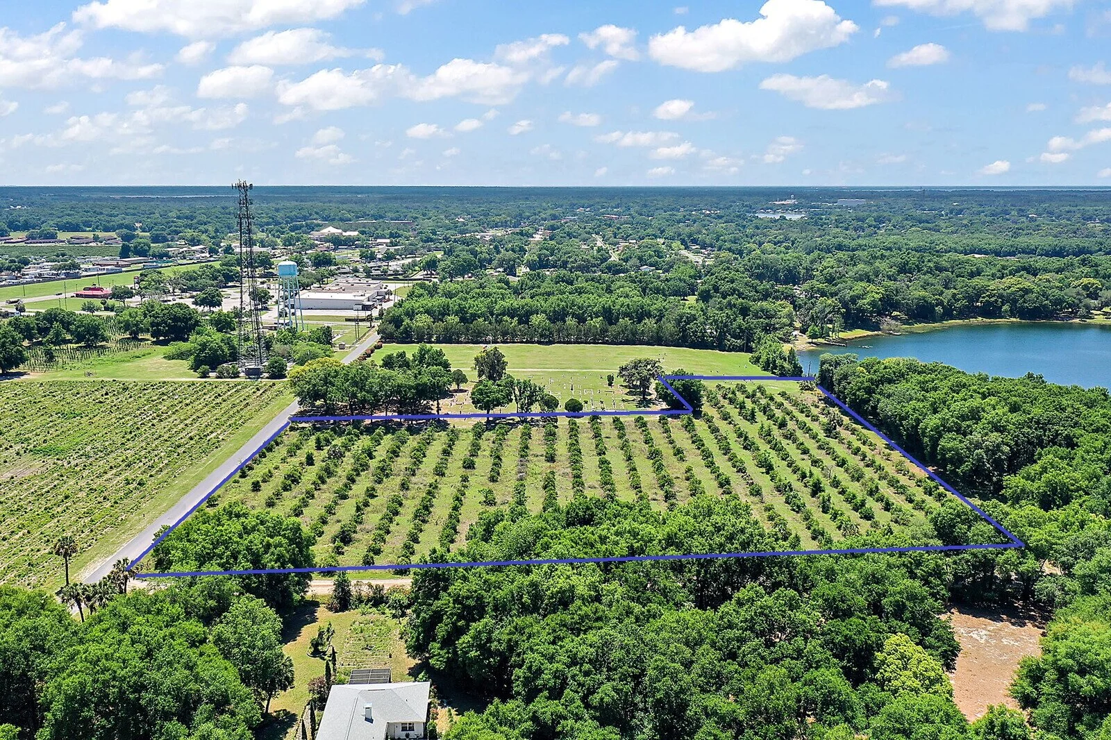 09_Maxwell_Road9_mls (2).jpg