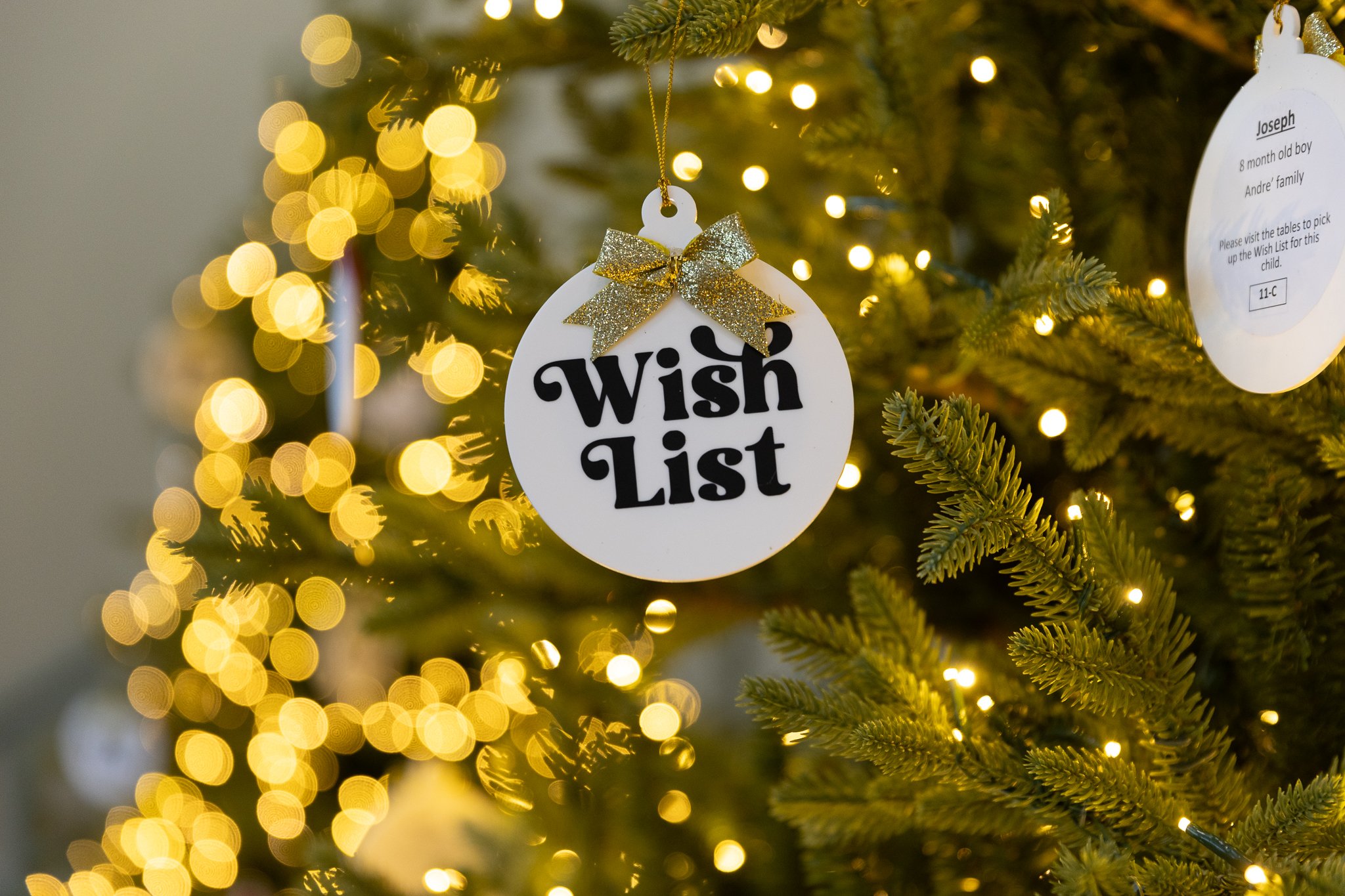 Season of Hope ornaments - Fry-2.jpg