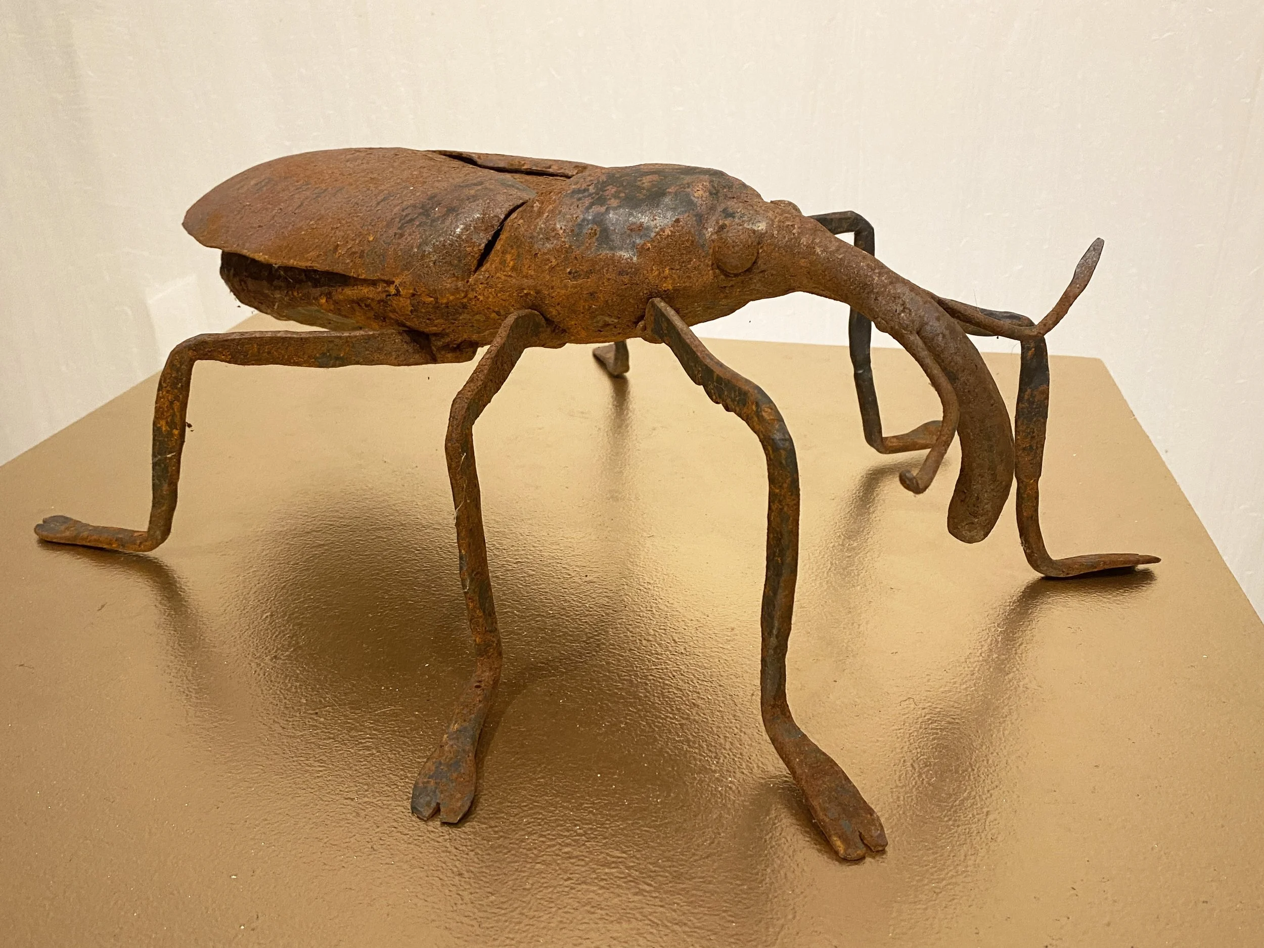 Carrie Elvey - Weevil.JPG