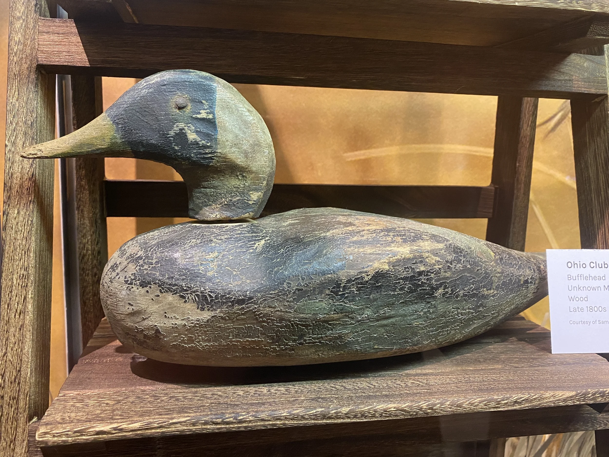 Club Duck - Bufflehead.JPG