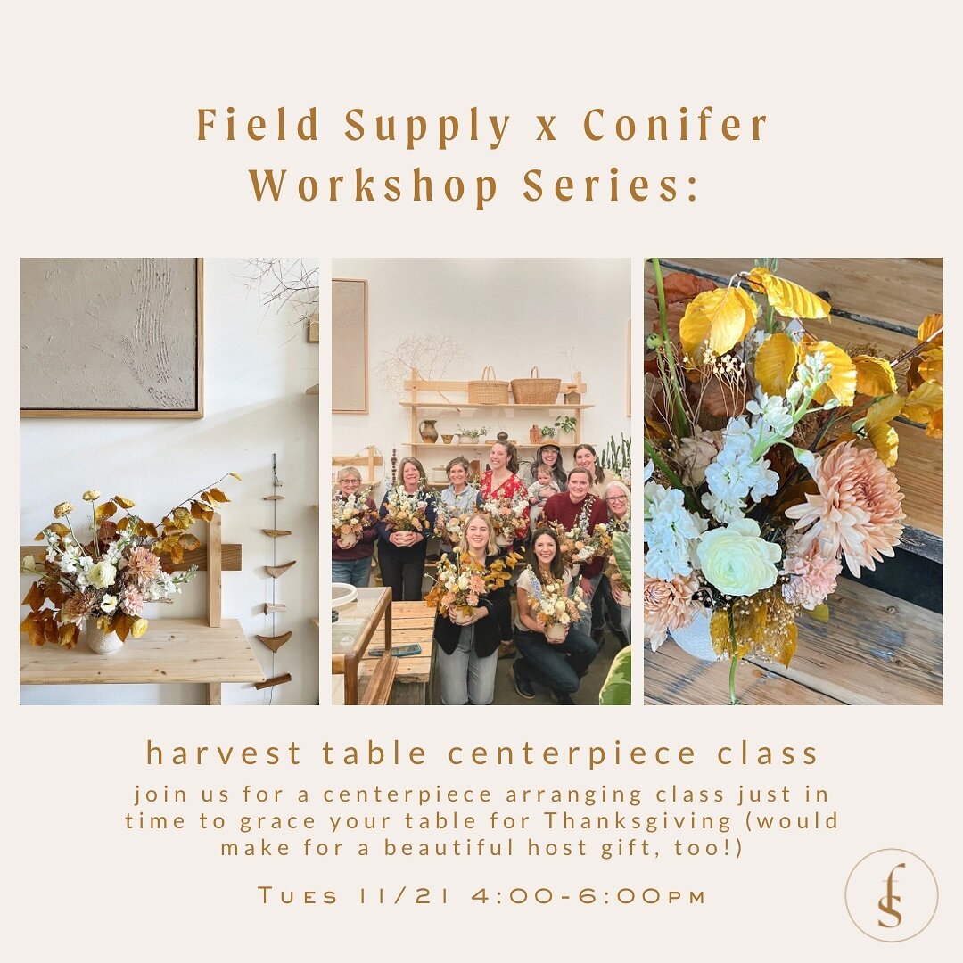 Join us for a centerpiece arranging class just in time to grace your table for Thanksgiving 🤍 We will use a seasonally-inspired mix of blooms to create an eye-catching floral display for your harvest table (would also make for an amazing host-gift!)