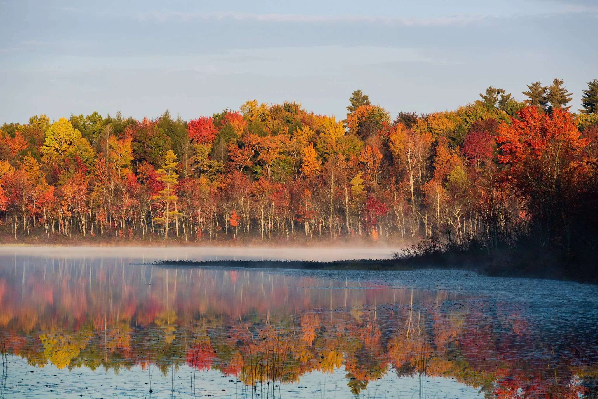 Vanderkamp Lake in the Fall with trees turning color on the shore