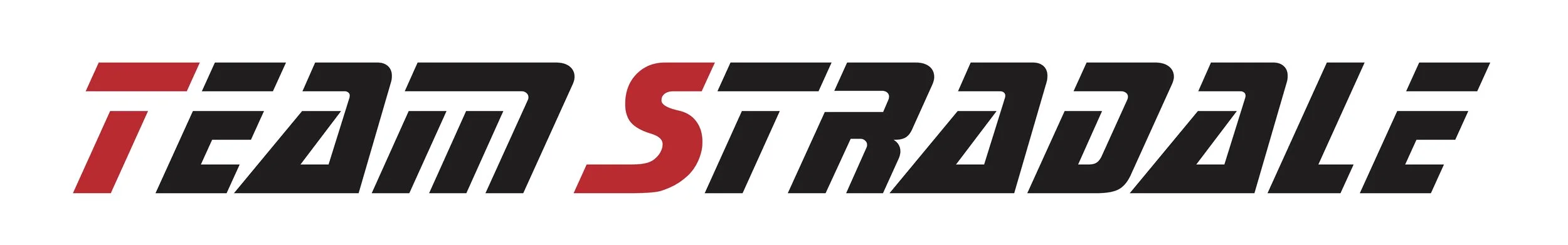 Team Stradale Banner for print.jpg