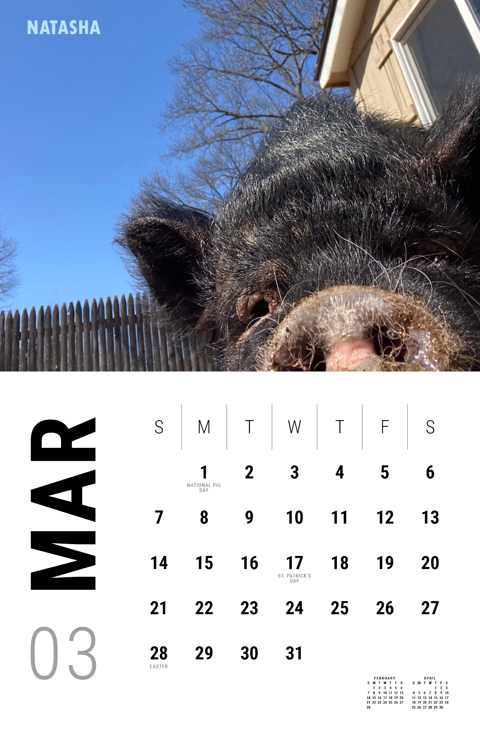 2027_Underdog Super Pigs Calendar (Spreads Layout)4.png
