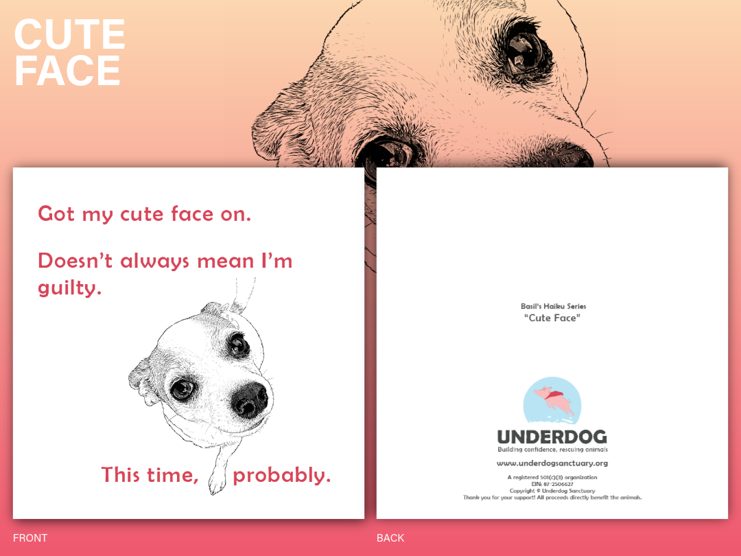 BASILS HAIKU SERIES-10.png
