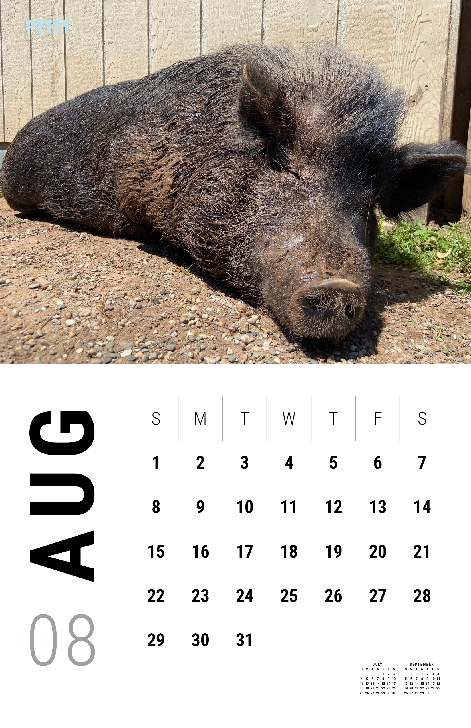 2027_Underdog Super Pigs Calendar (Spreads Layout)9.png