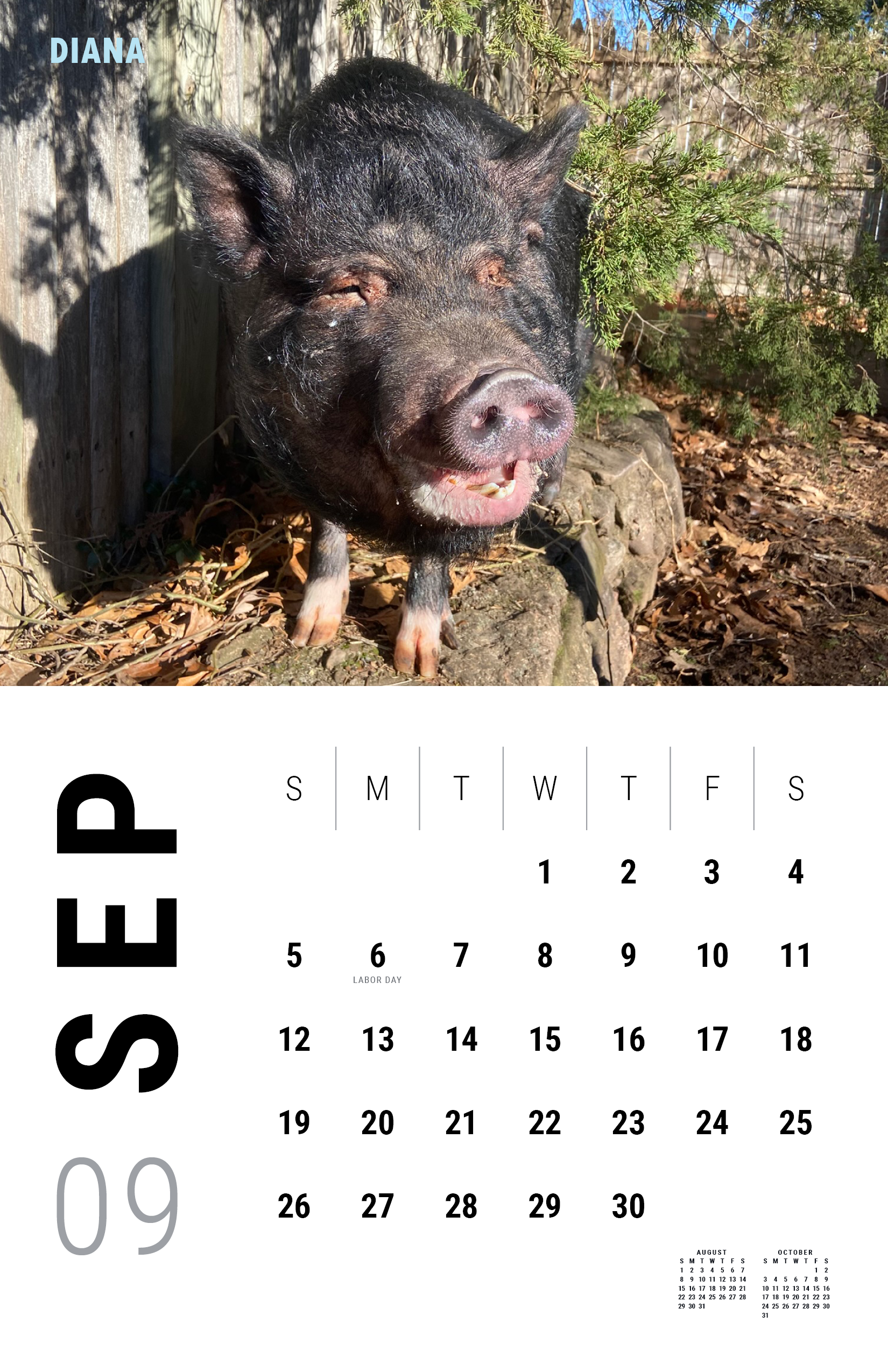 2027_Underdog Super Pigs Calendar (Spreads Layout)10.png
