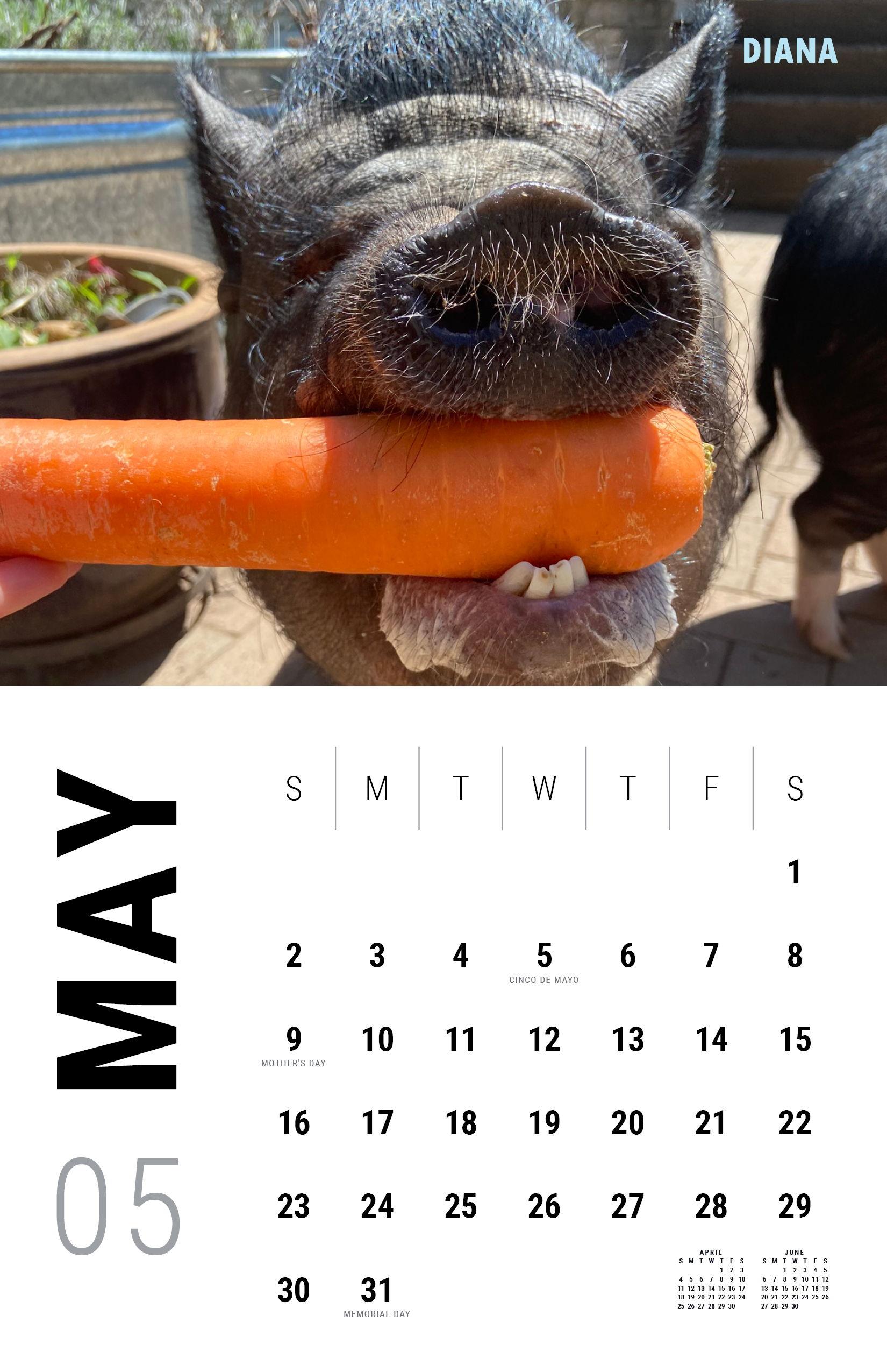 2027_Underdog Super Pigs Calendar (Spreads Layout)6.png