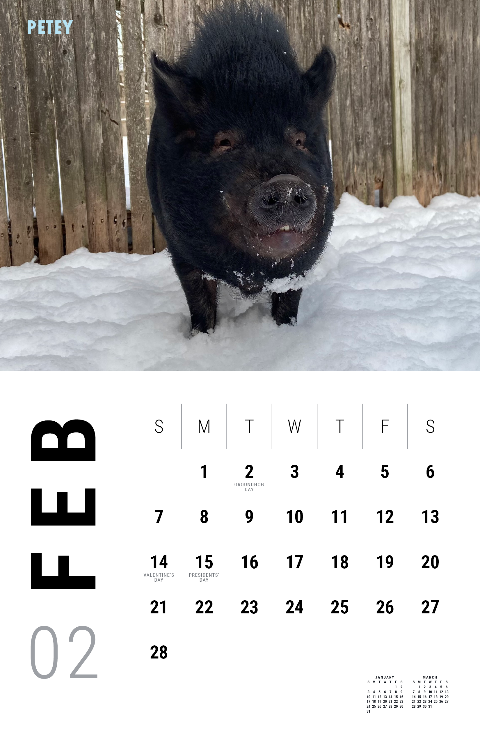2027_Underdog Super Pigs Calendar (Spreads Layout)3.png