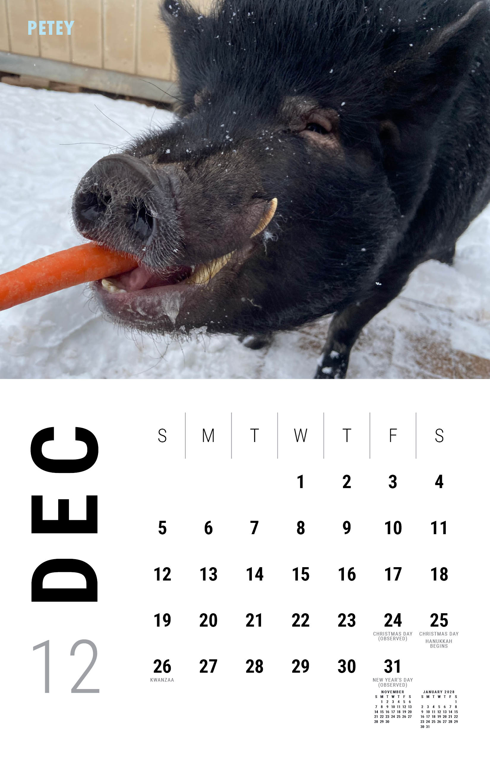 2027_Underdog Super Pigs Calendar (Spreads Layout)13.png