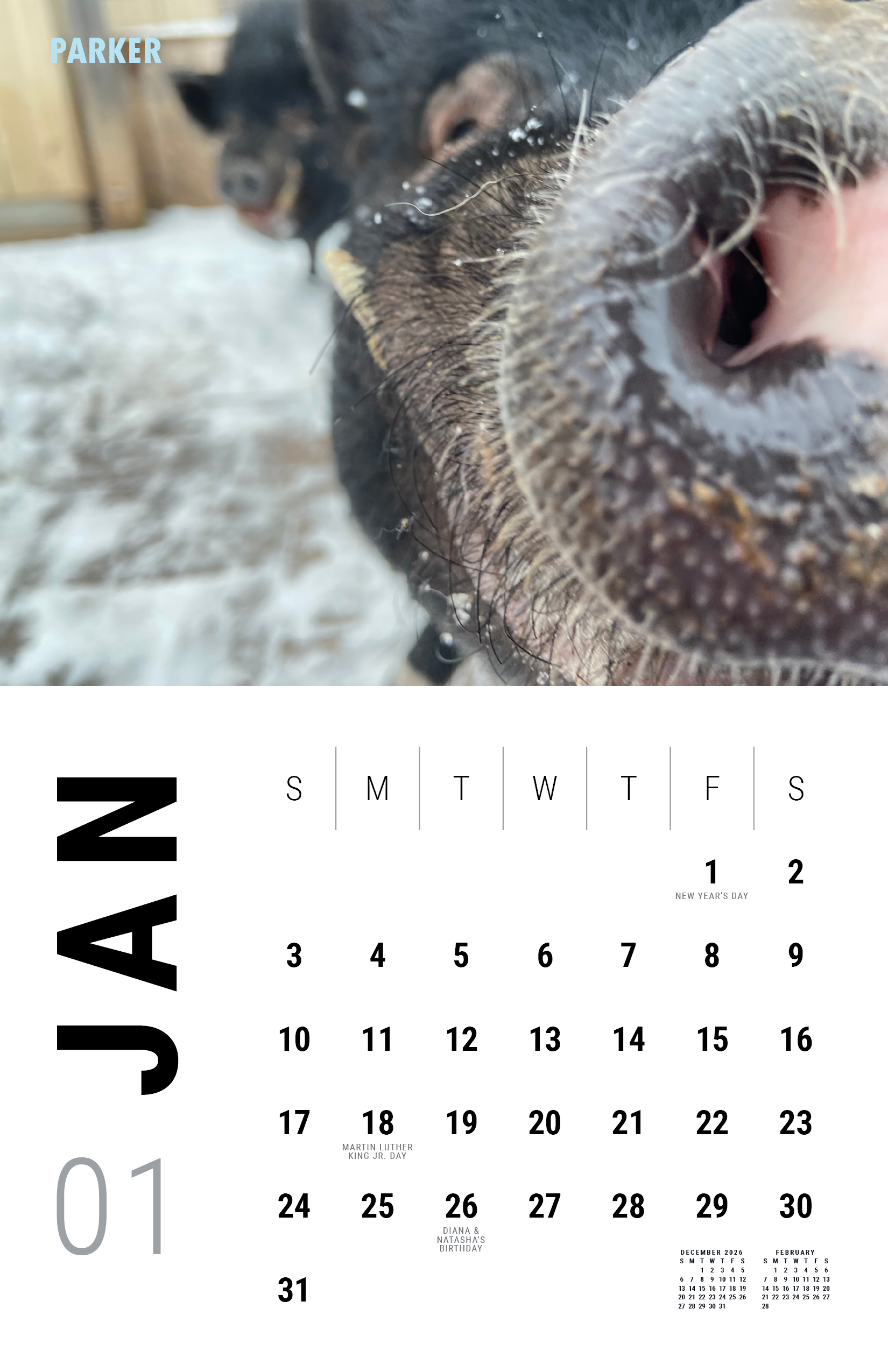 2027_Underdog Super Pigs Calendar (Spreads Layout)2.png