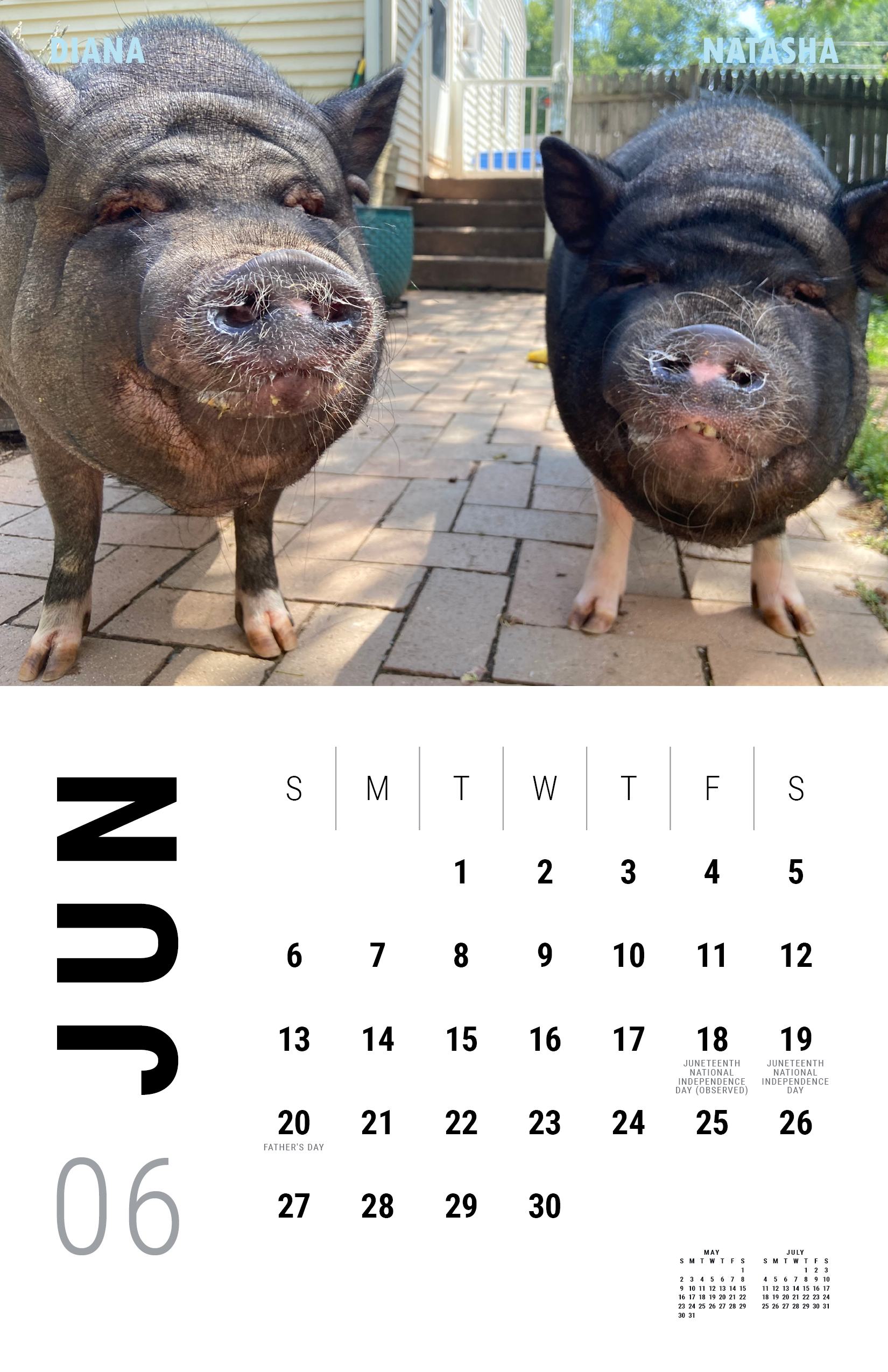 2027_Underdog Super Pigs Calendar (Spreads Layout)7.png