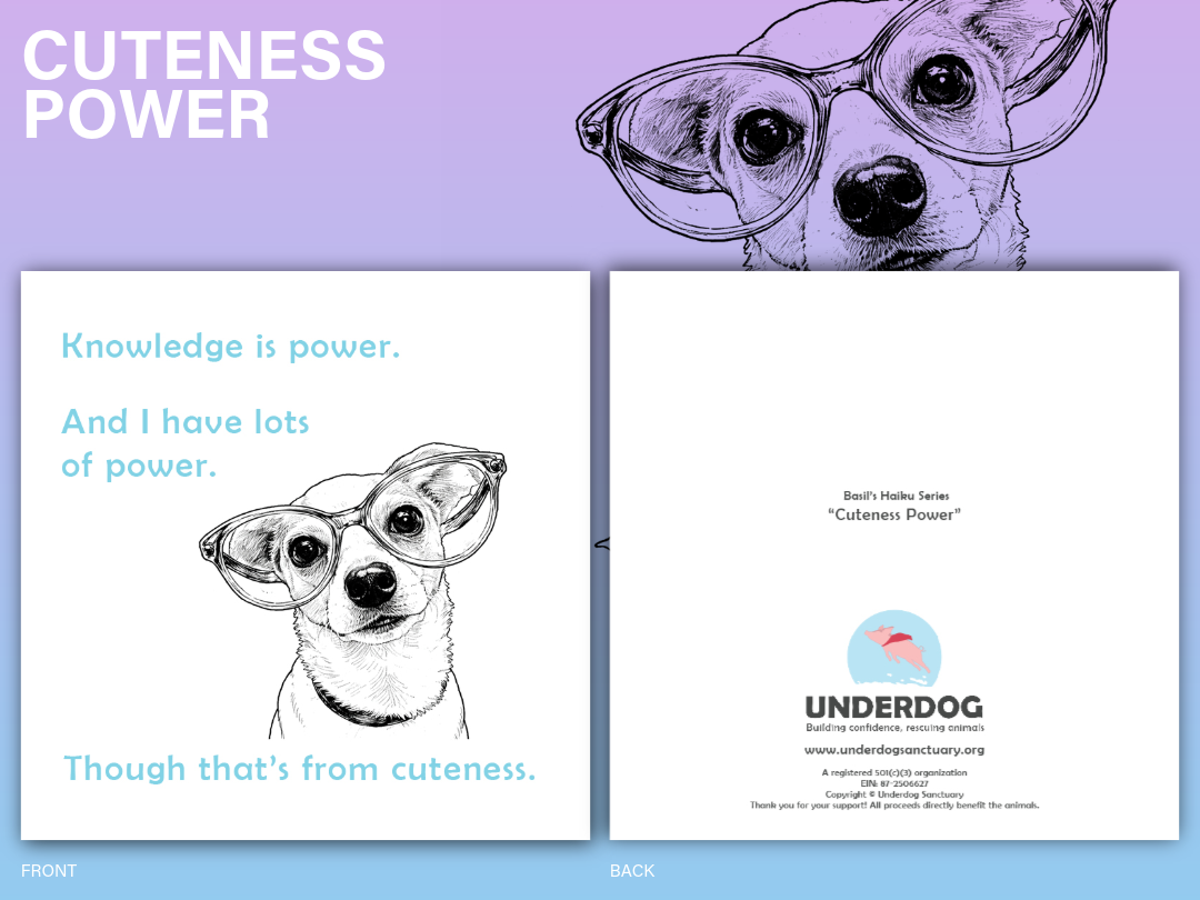 BASILS HAIKU SERIES-9.png