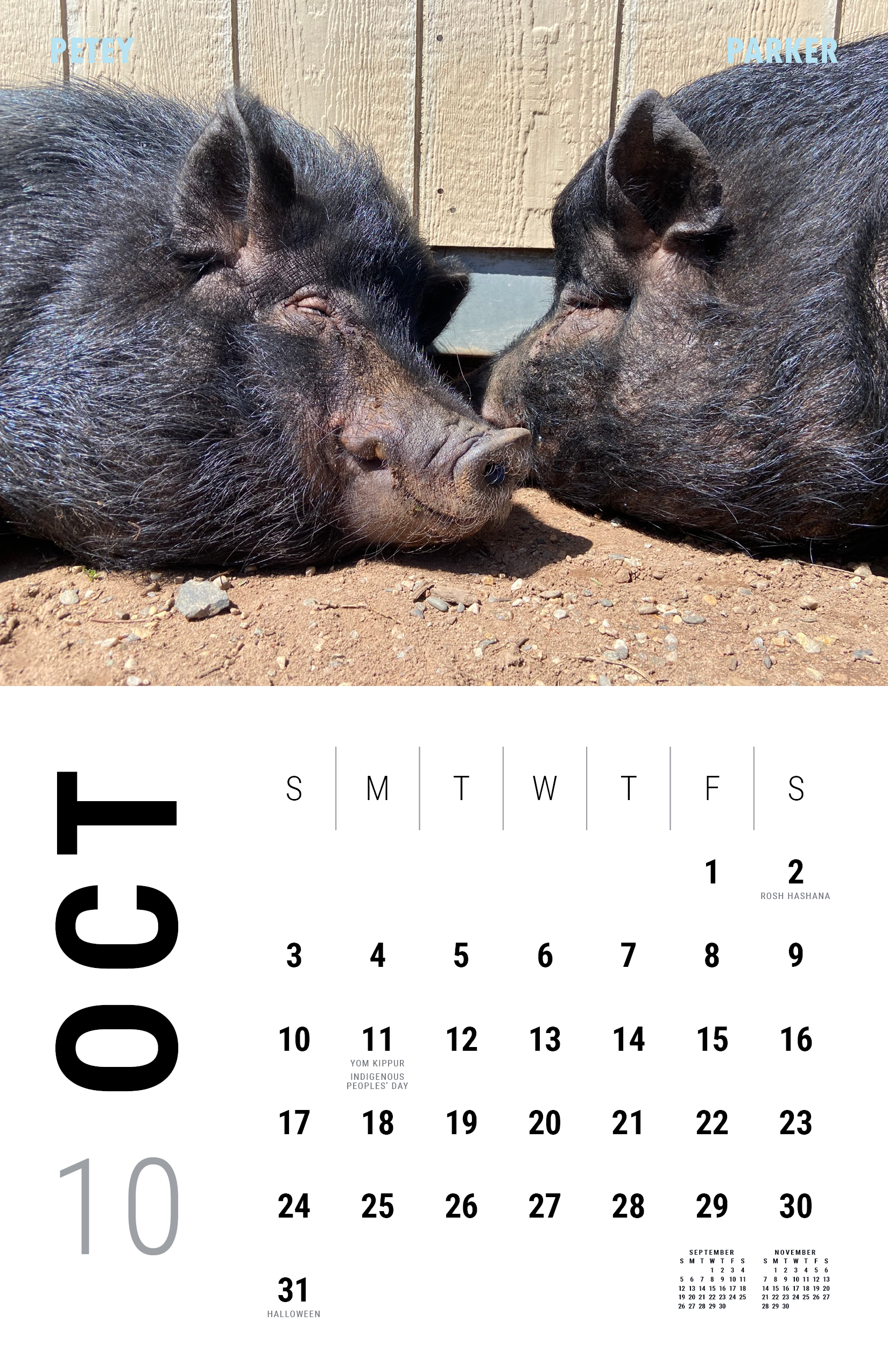 2027_Underdog Super Pigs Calendar (Spreads Layout)11.png