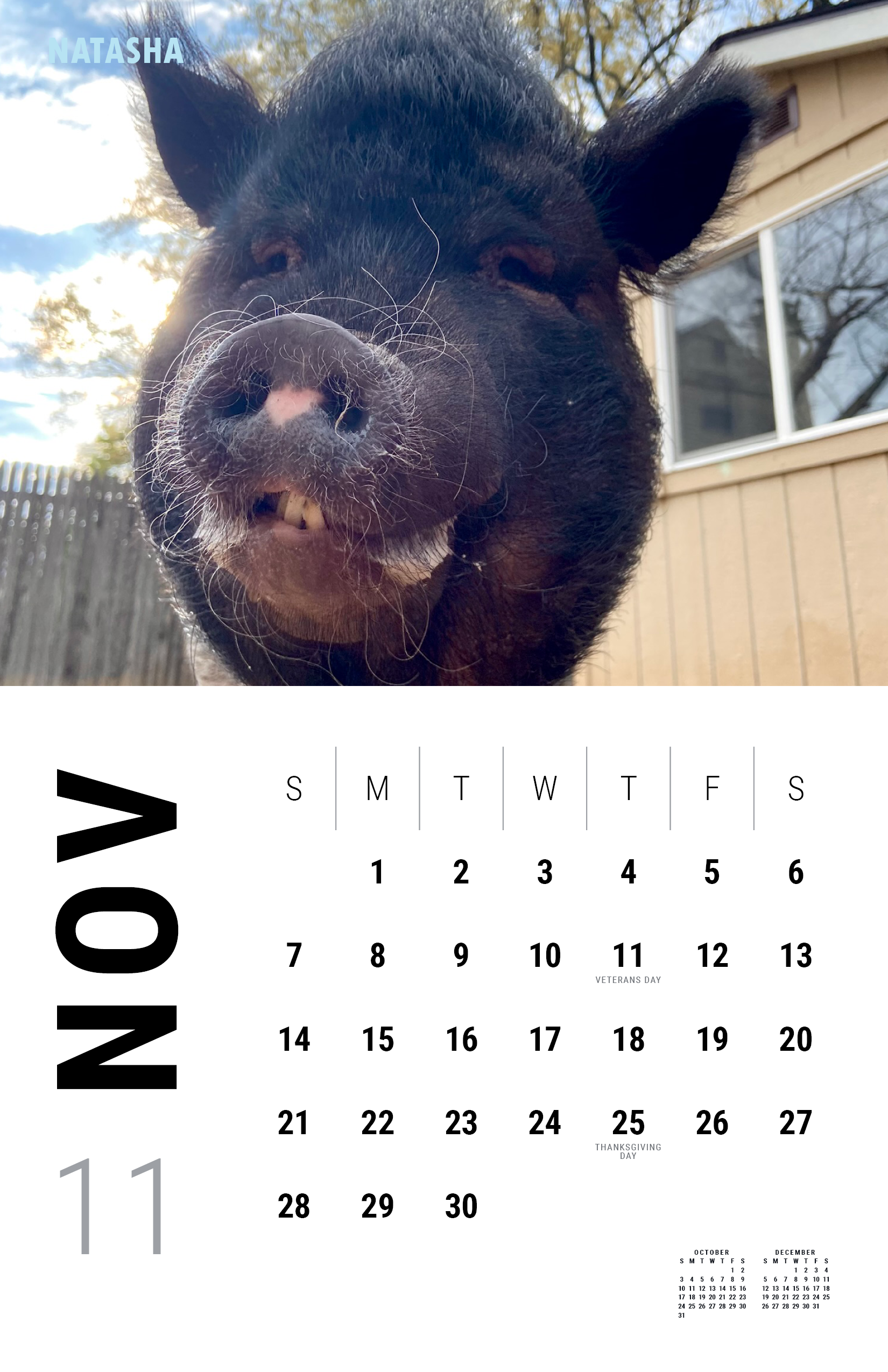 2027_Underdog Super Pigs Calendar (Spreads Layout)12.png