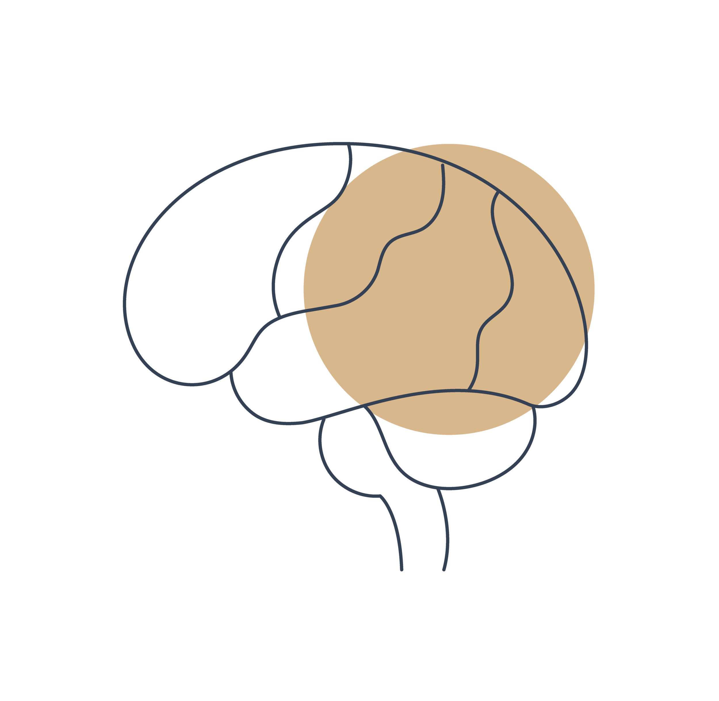 Functional Neurology