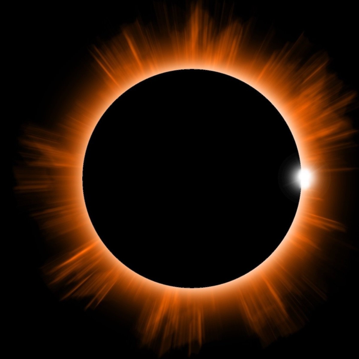 Celebrate the Darkness