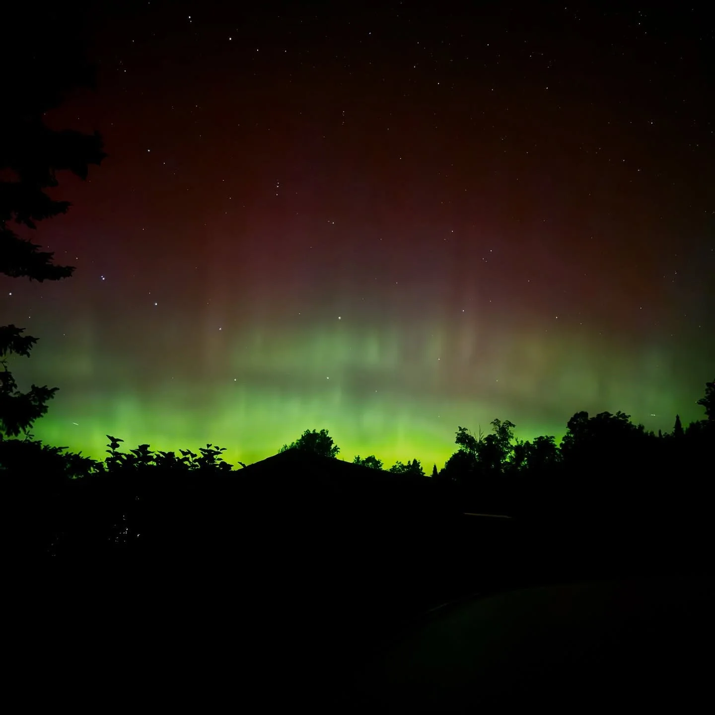 Eyes up, northern friends. 

#aurora 
#auroraborealis 
#vermontaurora 
#broadforkvt