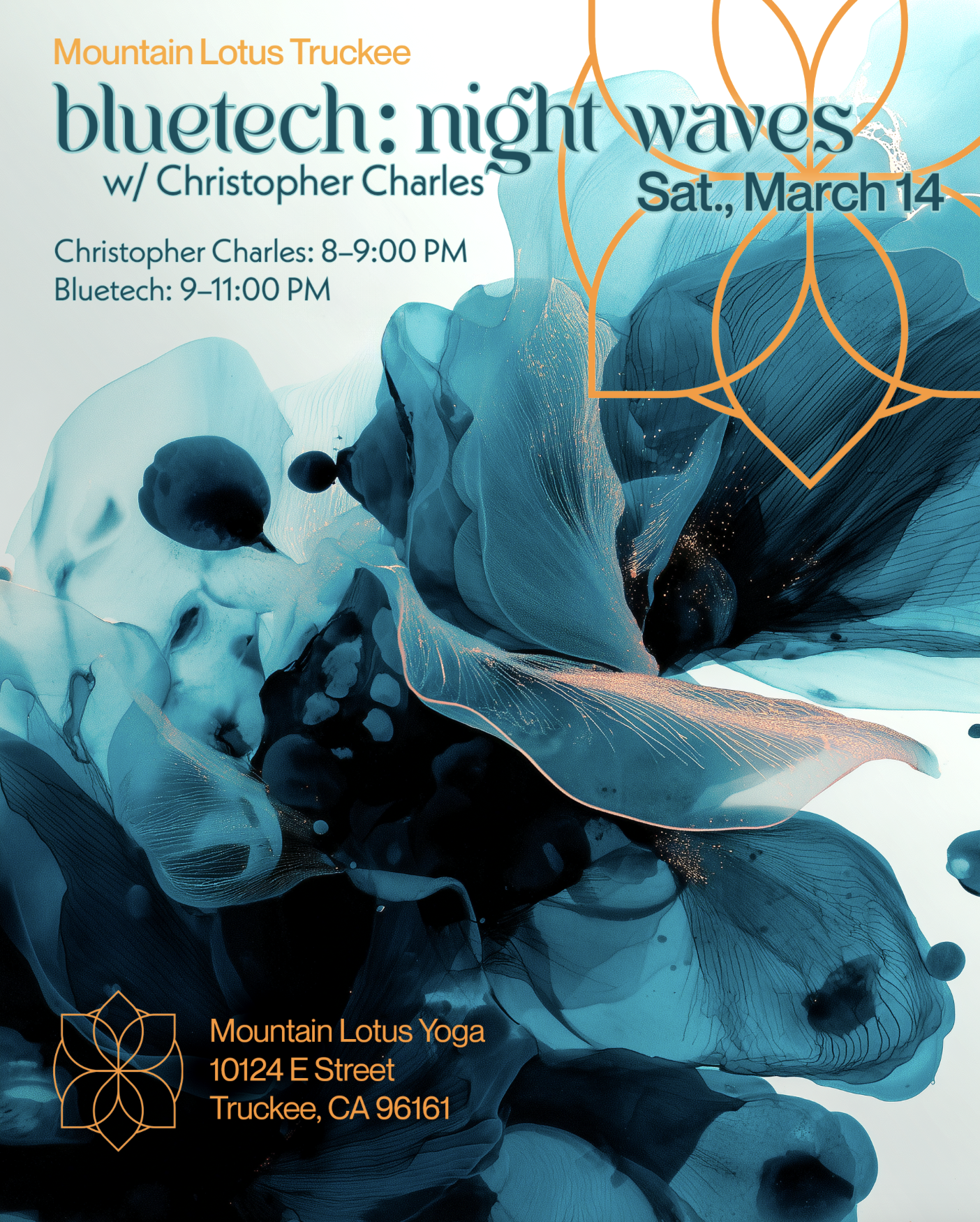 Bluetech: Night Waves