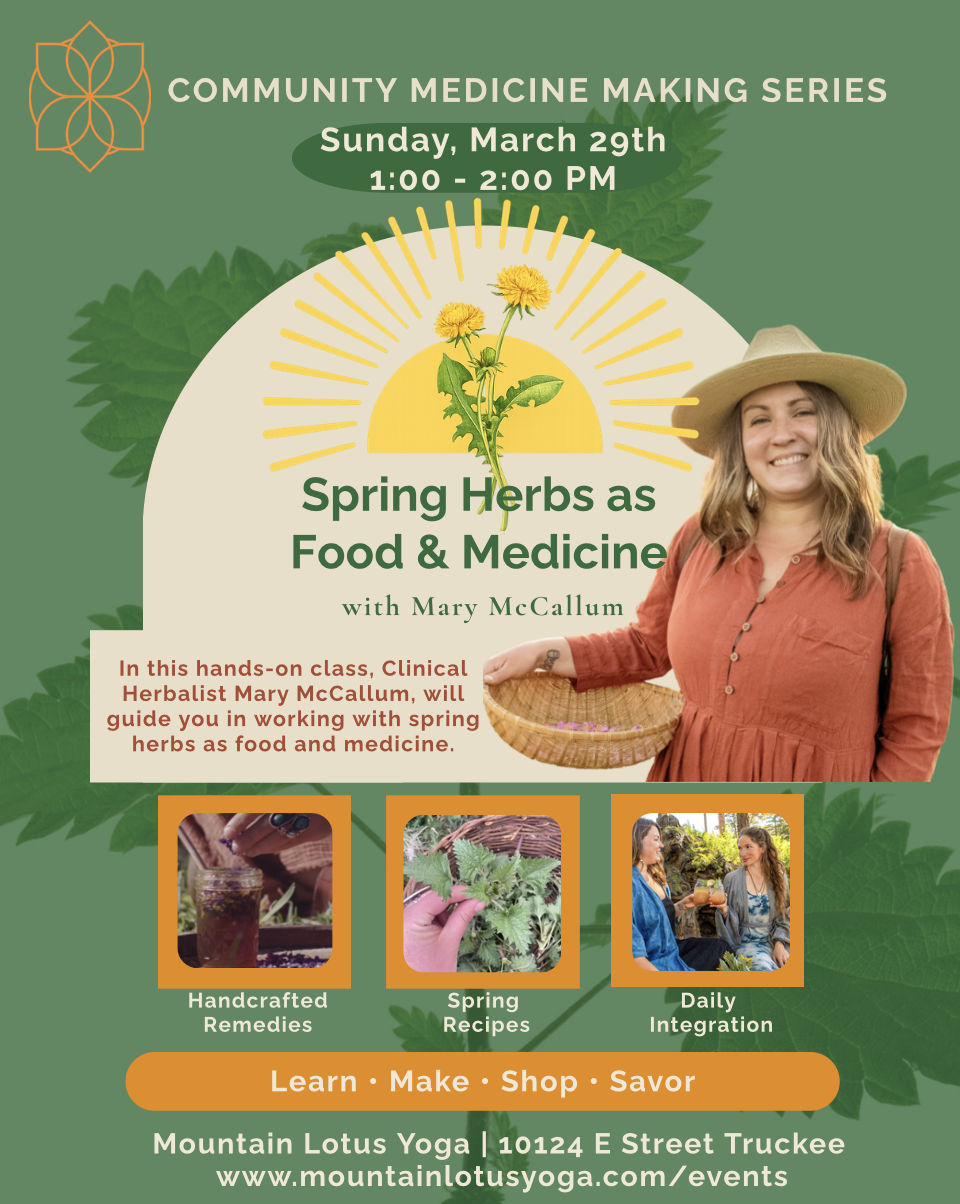 Community Medicine Making Series: Spring Herbs as Food &amp; Medicine