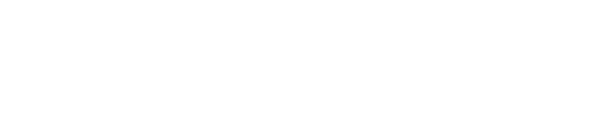 trasp-logo-footer.png